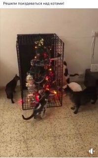 Глaвное укрaшение елки