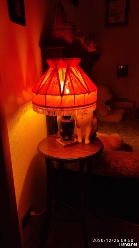 Вот вам еще одного кота с лампой.