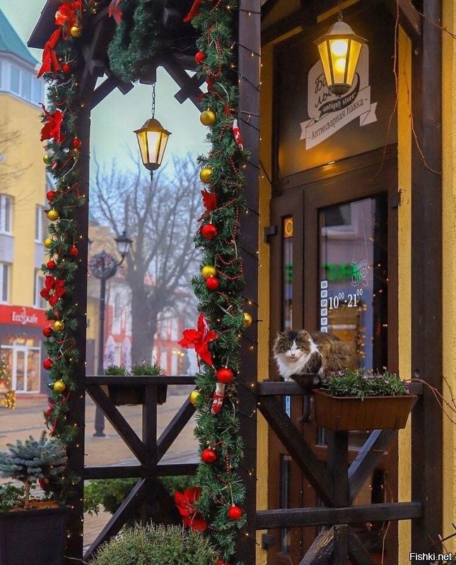 А у нас в городе очень красиво! На городской площади поставили искусственную ёлку. Но она очень хороша. Рядом волшебный домик и светящийся подарок. Главная улица тоже украшена на славу! Стараются и город и владельцы магазинов. Но вот снеговики-музыканты и парусник возле нашей школы. Олень и ещё ёлка возле ФОКа. Карета возле заправки на выезде из города. А недавно на трёх башенных кранах, где идёт стройка подвесили три огромные звезды. Они просто волшебно светятся в ночи высоко в небе. Короче несмотря на все трудности праздник чувствуется и поднимает настроение всем и гостям города и жителям.  Удачи нам всем и счастливого Нового года! Нельзя унывать и думать только о плохом. Находите радость в малом. А пока полюбуйтесь нашим городком.