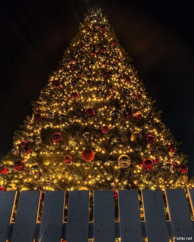 А у нас в городе очень красиво! На городской площади поставили искусственную ёлку. Но она очень хороша. Рядом волшебный домик и светящийся подарок. Главная улица тоже украшена на славу! Стараются и город и владельцы магазинов. Но вот снеговики-музыканты и парусник возле нашей школы. Олень и ещё ёлка возле ФОКа. Карета возле заправки на выезде из города. А недавно на трёх башенных кранах, где идёт стройка подвесили три огромные звезды. Они просто волшебно светятся в ночи высоко в небе. Короче несмотря на все трудности праздник чувствуется и поднимает настроение всем и гостям города и жителям.  Удачи нам всем и счастливого Нового года! Нельзя унывать и думать только о плохом. Находите радость в малом. А пока полюбуйтесь нашим городком.