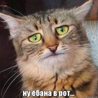ну афигеть уже, хранишь в доме наркотики, контачишь с наркодиллером оказываешь сопротивление полиции и тебе за это памятник ставят, Америка точно изданулась