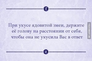 Как избежать укуса гадюки или любой другой змеи