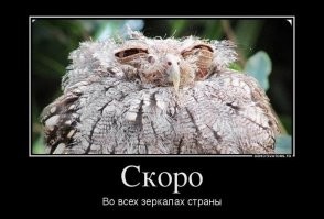 Пользователи соцсетей уже рассказали, чем займутся 1 января