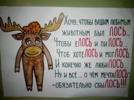 Как зимует лось