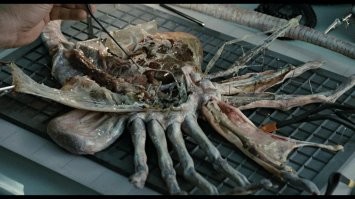 тоже жемчуг искали .....