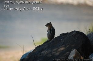 18 познавательных снимков, показывающих то, что скрыто