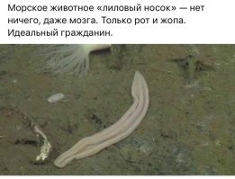 Мы - люди, и мы не хотим ничего решать