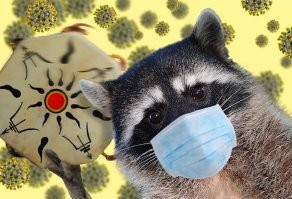 Нет маски-нет митинга !