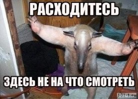 Y наркоманов забрали единственный хит..