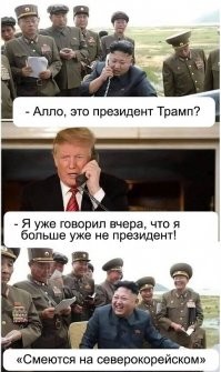 Новогодняя доза позитива!