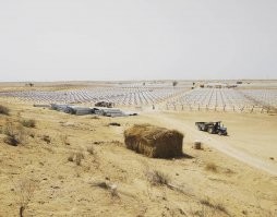 Вот-жеж Бхадла какая. И Ниф-Ниф у них в прорабах.