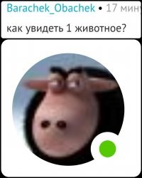 17 вводящих в заблуждение снимков, на которые нужно посмотреть дважды  