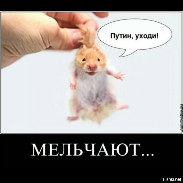 Политические скрины