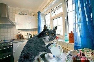 Отмазка уже не катит)