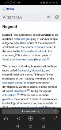 Лол. Тогда уж и слово "негроид" пусть уберут из английской Википедии.  

https: