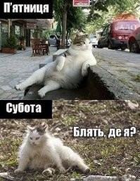 Прикольные картинки, мемы и шутки из сети