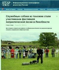 Искусство заголовка, или новости, которые нас удивили