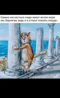 Про котов одна из самых любимых эта. С Новым годом из теплого Крыма!
 У нас +15