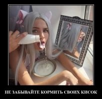 Кошачье-каламбурные демотиваторы