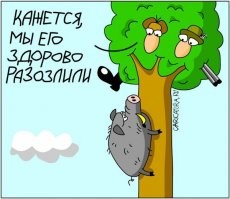 Мощь и ярость в деле