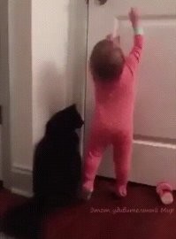 Организованная группировка, не исключено, что преступная.