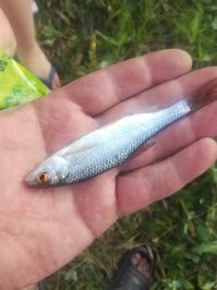 Но иногда и такие попадаются