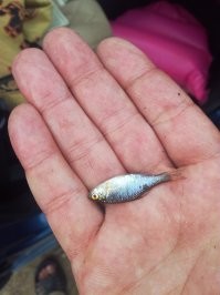 Но иногда и такие попадаются