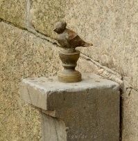 А как же Чижик пыжик?