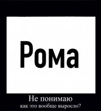 Жителю Гагино, который собрал не тот валежник в лесу, грозит 7 лет лишения свободы