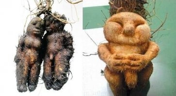 20 обычных явлений природы, которые выглядят противно, жутко и пугающе