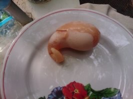 Во что снесла наша курица) Публикуется впервые)