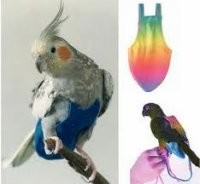 Да, продаются для попугаев, что бы квартиру не засирали. Птиц к лотку не приучишь.