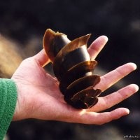 Яйца и повеселее бывают