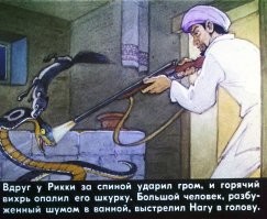 Крупная змея напугала отдыхавшую в гамаке маму с ребёнком