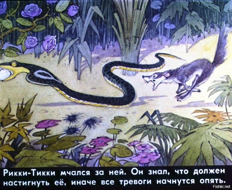 Крупная змея напугала отдыхавшую в гамаке маму с ребёнком