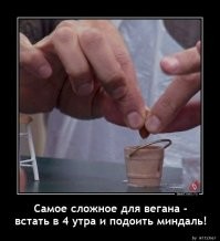 Даже когда рот вегана занят салатом, он все равно должен всем заявить, что он веган