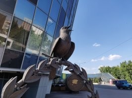 Курская антоновка и Курский соловей в Курске