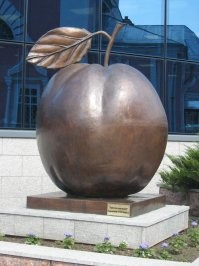 Курская антоновка и Курский соловей в Курске