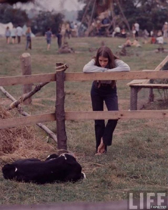 15 августа 1969 года открылся фестиваль Woodstock, который собрал более 500 тысяч зрителей. Тогда на сцене перед многотысячной толпой выступили сразу 32 современные группы, которые четыре дня исполняли свои хиты для всех хиппи Америки.