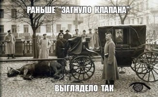 В Санкт-Петербурге карета с лошадьми попала в аварию на дороге