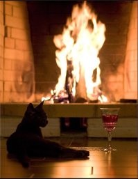 Почему коты так любят портить рождественские ёлки?