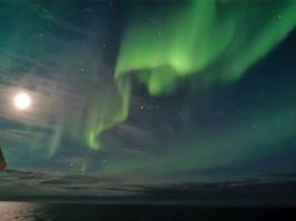 Большой лайк фотографам! Попробуй его поймай, в небе оно постоянно и ты не знаешь маленькая полоска "огня" через минуту вспыхнет на всё небо или погаснет.