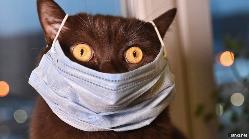 С добрым утром