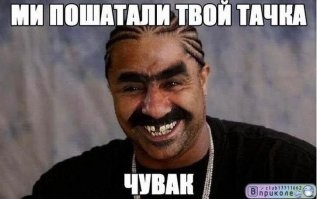 В Санкт-Петербурге карета с лошадьми попала в аварию на дороге