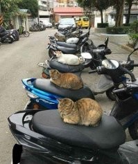 Оказывается не только моя такая