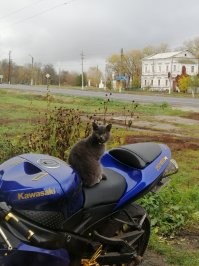 Оказывается не только моя такая