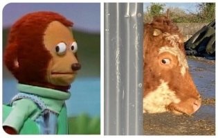 Фотоподборка