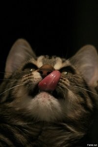 С добрым утром!