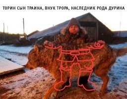Житель ЕАО голыми руками задушил напавшую на него волчицу