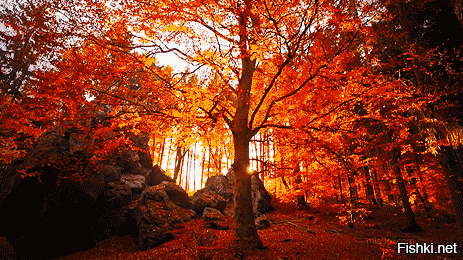 И просто чтобы показать что твоя работа не является чем-то из ряда вон выходящих - вот тебе 15 оригинальных гифок: